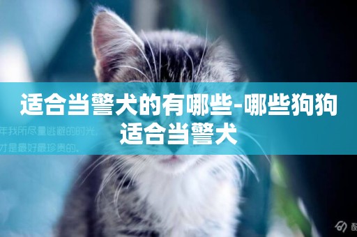 適合當警犬的有哪些-哪些狗狗適合當警犬