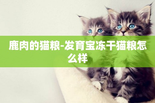 鹿肉的貓糧-發育寶凍干貓糧怎么樣