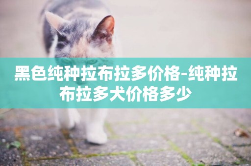黑色純種拉布拉多價格-純種拉布拉多犬價格多少