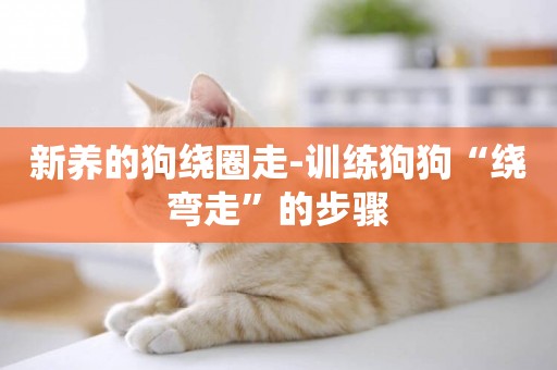 新養的狗繞圈走-訓練狗狗“繞彎走”的步驟