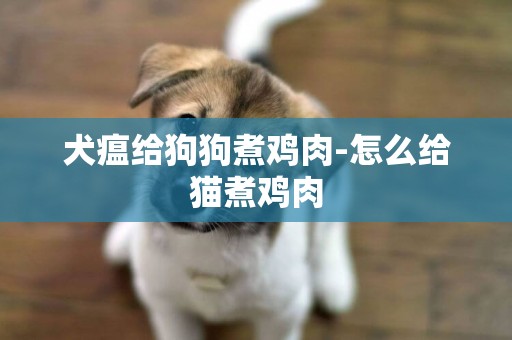 犬瘟給狗狗煮雞肉-怎么給貓煮雞肉