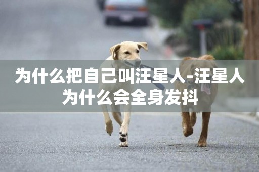 為什么把自己叫汪星人-汪星人為什么會全身發抖