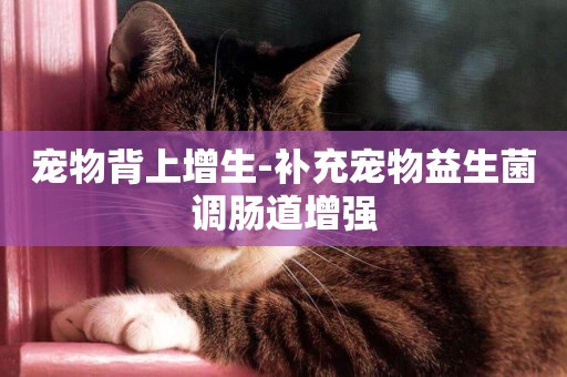 寵物背上增生-補充寵物益生菌調腸道增強