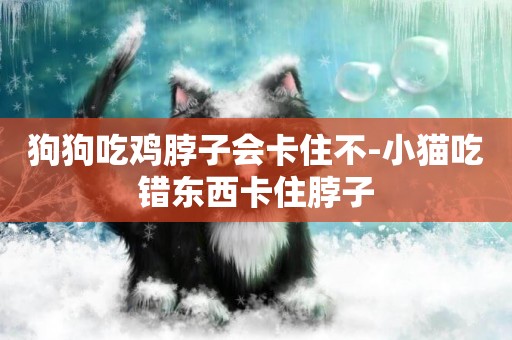 狗狗吃雞脖子會卡住不-小貓吃錯東西卡住脖子