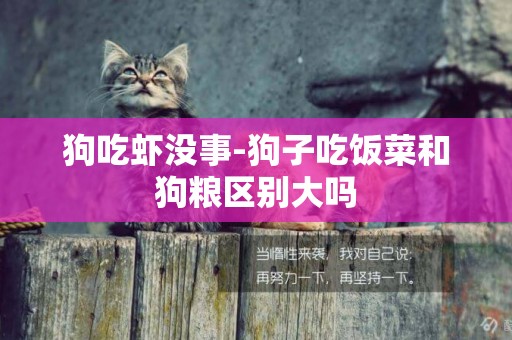 狗吃蝦沒事-狗子吃飯菜和狗糧區別大嗎