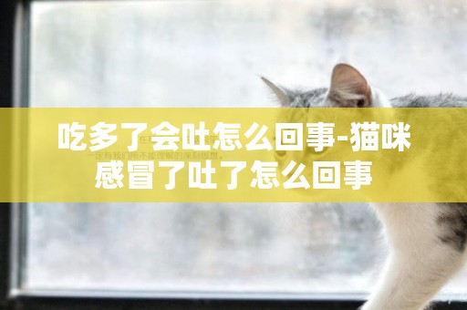 吃多了會吐怎么回事-貓咪感冒了吐了怎么回事