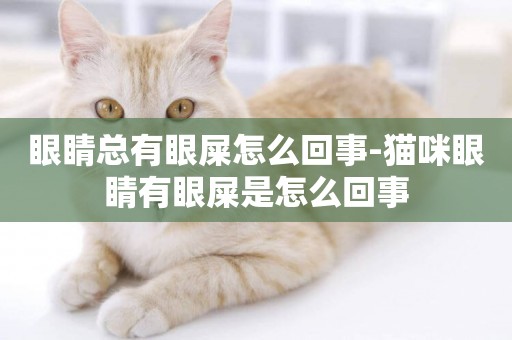 眼睛總有眼屎怎么回事-貓咪眼睛有眼屎是怎么回事
