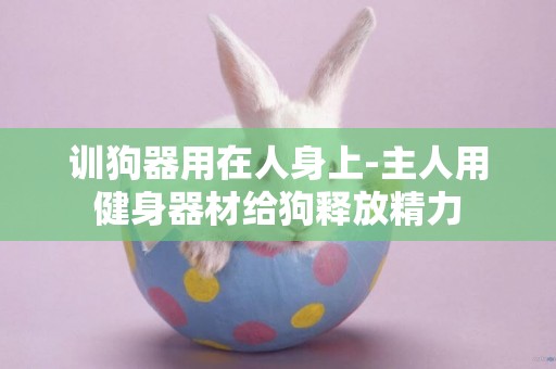 訓狗器用在人身上-主人用健身器材給狗釋放精力