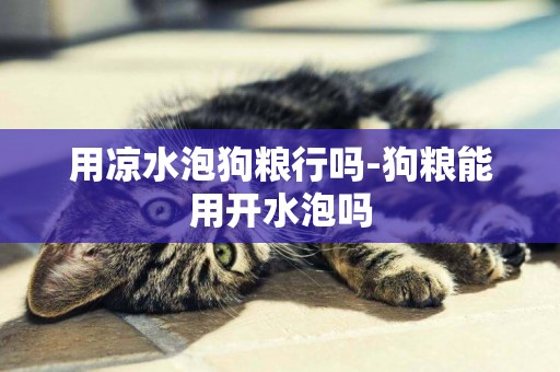 用涼水泡狗糧行嗎-狗糧能用開水泡嗎