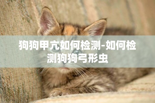 狗狗甲亢如何檢測-如何檢測狗狗弓形蟲