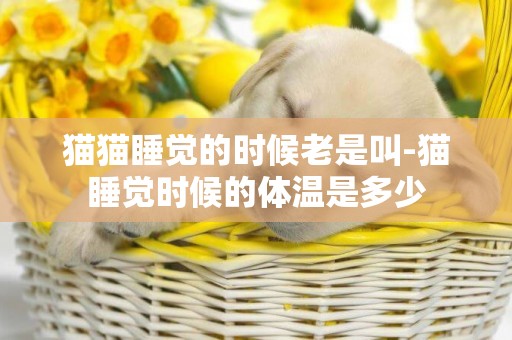 貓貓睡覺的時候老是叫-貓睡覺時候的體溫是多少