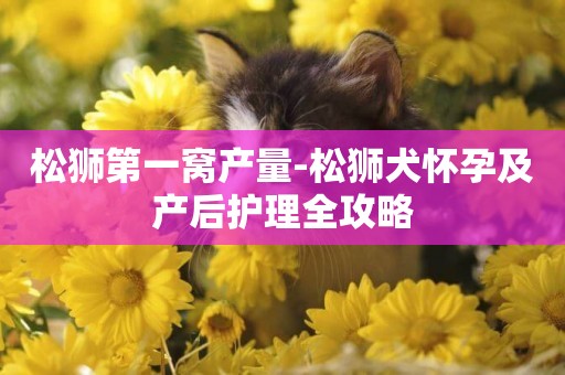 松獅第一窩產量-松獅犬懷孕及產后護理全攻略