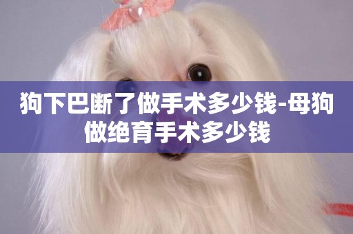 狗下巴斷了做手術多少錢-母狗做絕育手術多少錢