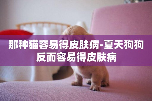 那種貓容易得皮膚病-夏天狗狗反而容易得皮膚病