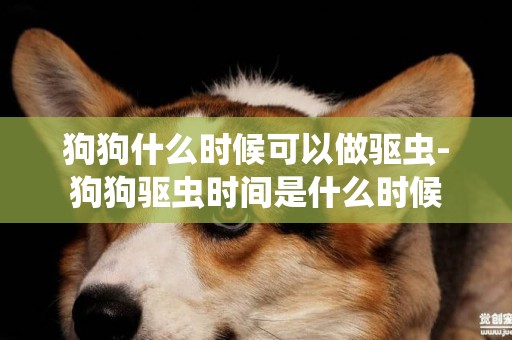 狗狗什么時候可以做驅蟲-狗狗驅蟲時間是什么時候