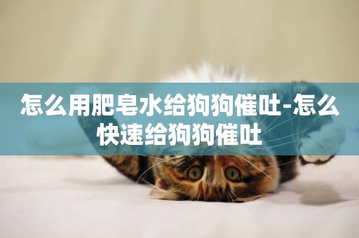 怎么用肥皂水給狗狗催吐-怎么快速給狗狗催吐