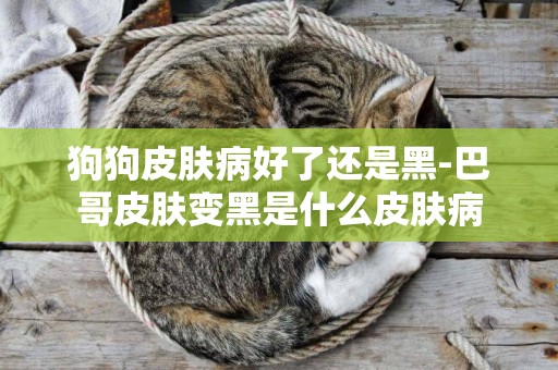 狗狗皮膚病好了還是黑-巴哥皮膚變黑是什么皮膚病