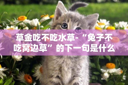 草金吃不吃水草-“兔子不吃窩邊草”的下一句是什么