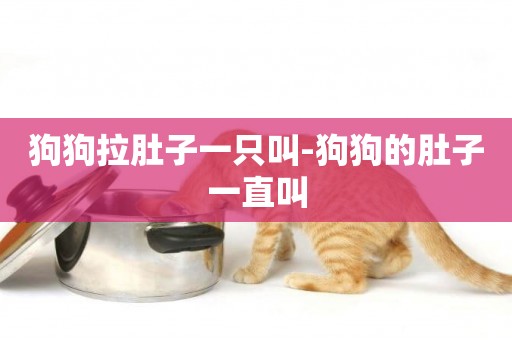 狗狗拉肚子一只叫-狗狗的肚子一直叫