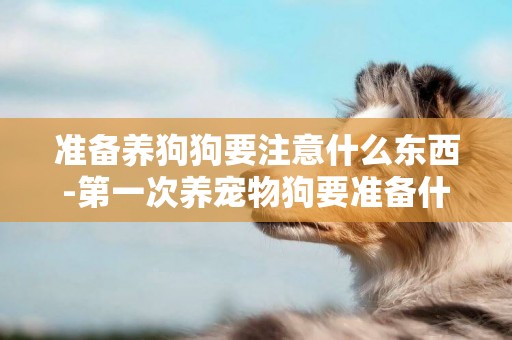 準備養狗狗要注意什么東西-第一次養寵物狗要準備什么東西