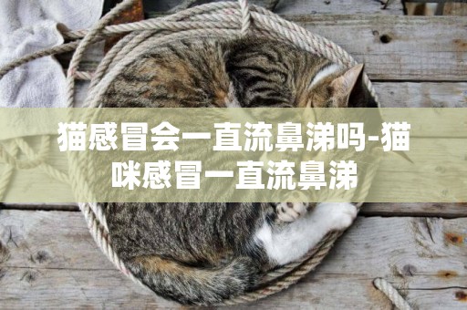 貓感冒會一直流鼻涕嗎-貓咪感冒一直流鼻涕