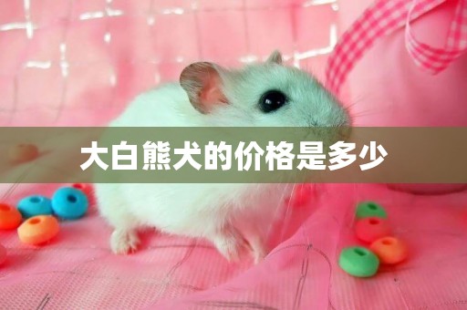 大白熊犬的價格是多少
