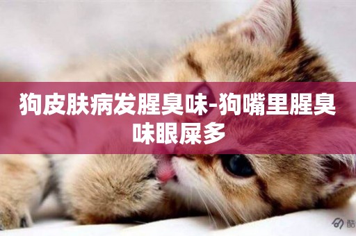 狗皮膚病發腥臭味-狗嘴里腥臭味眼屎多