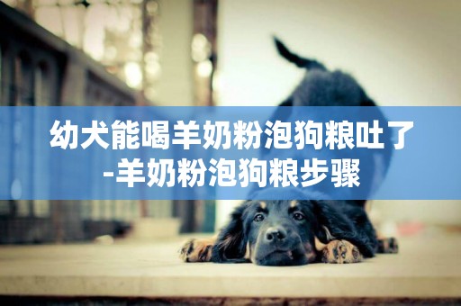 幼犬能喝羊奶粉泡狗糧吐了-羊奶粉泡狗糧步驟