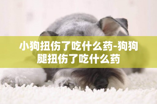 小狗扭傷了吃什么藥-狗狗腿扭傷了吃什么藥