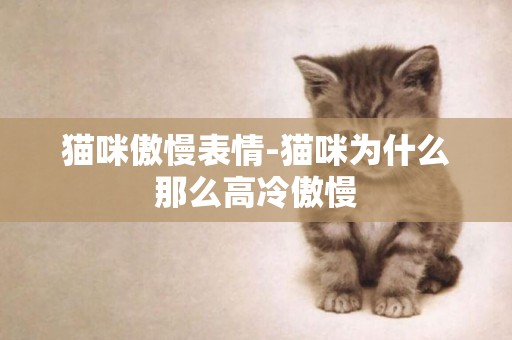 貓咪傲慢表情-貓咪為什么那么高冷傲慢