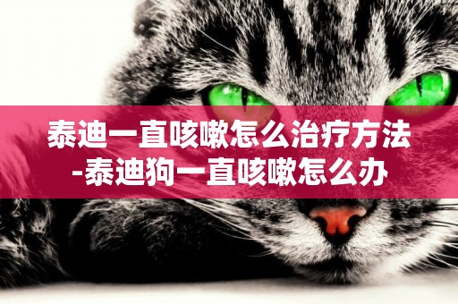 泰迪一直咳嗽怎么治療方法-泰迪狗一直咳嗽怎么辦