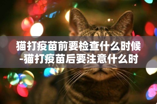 貓打疫苗前要檢查什么時候-貓打疫苗后要注意什么時候