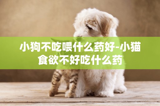 小狗不吃喂什么藥好-小貓食欲不好吃什么藥
