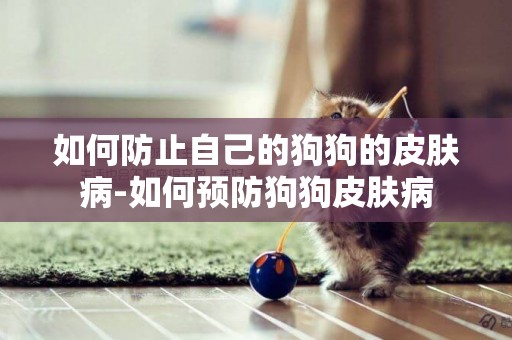如何防止自己的狗狗的皮膚病-如何預防狗狗皮膚病