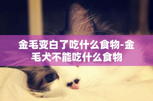 金毛變白了吃什么食物-金毛犬不能吃什么食物