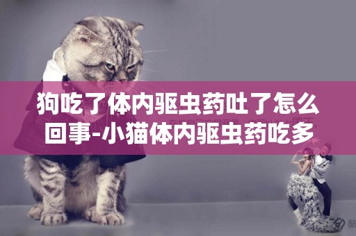 狗吃了體內驅蟲藥吐了怎么回事-小貓體內驅蟲藥吃多了怎么辦