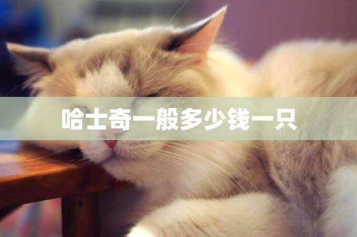 哈士奇一般多少錢一只