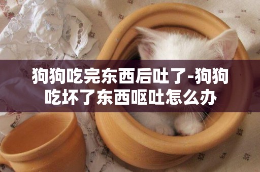 狗狗吃完東西后吐了-狗狗吃壞了東西嘔吐怎么辦
