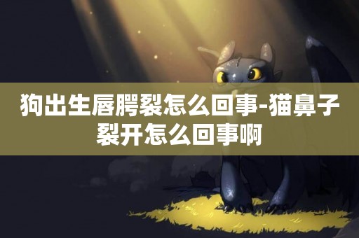 狗出生唇腭裂怎么回事-貓鼻子裂開怎么回事啊
