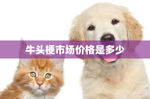 牛頭梗市場價格是多少