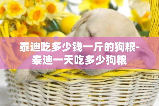 泰迪吃多少錢一斤的狗糧-泰迪一天吃多少狗糧