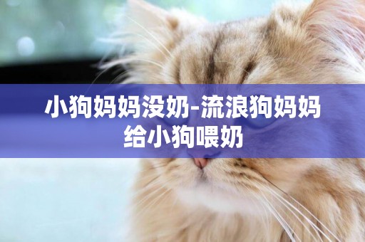 小狗媽媽沒奶-流浪狗媽媽給小狗喂奶