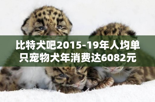 比特犬吧2015-19年人均單只寵物犬年消費達6082元