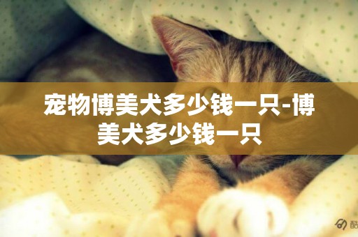 寵物博美犬多少錢一只-博美犬多少錢一只