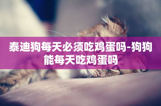 泰迪狗每天必須吃雞蛋嗎-狗狗能每天吃雞蛋嗎