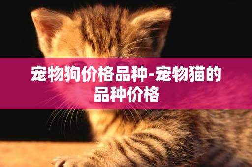 寵物狗價格品種-寵物貓的品種價格