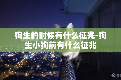 狗生的時候有什么征兆-狗生小狗前有什么征兆