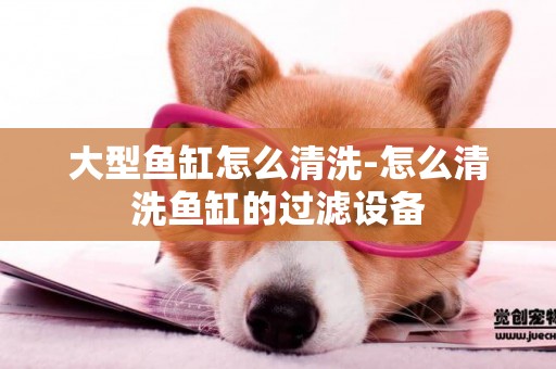 大型魚缸怎么清洗-怎么清洗魚缸的過濾設備