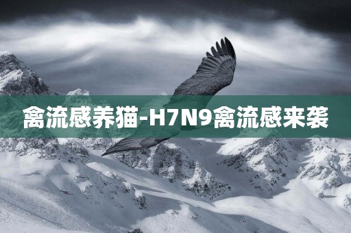 禽流感養貓-H7N9禽流感來襲