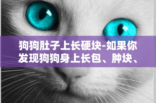 狗狗肚子上長硬塊-如果你發現狗狗身上長包、腫塊、硬塊或是小疙瘩